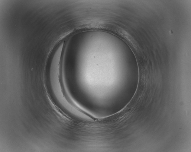 X0000073850677200609071608