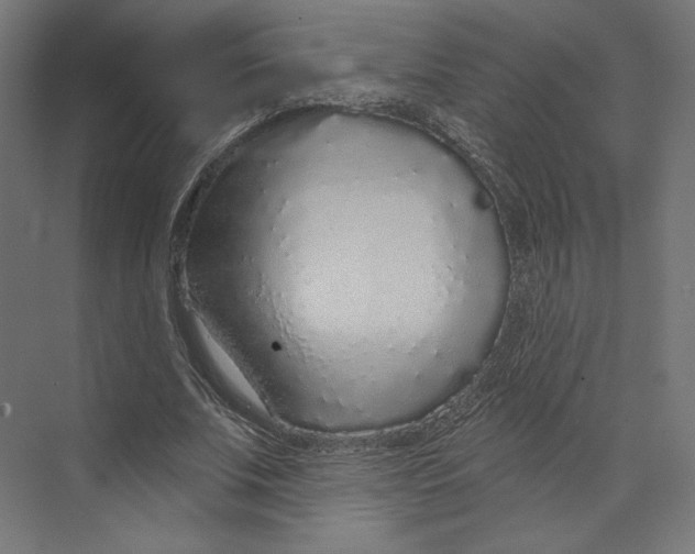 X0000073850679200609071608