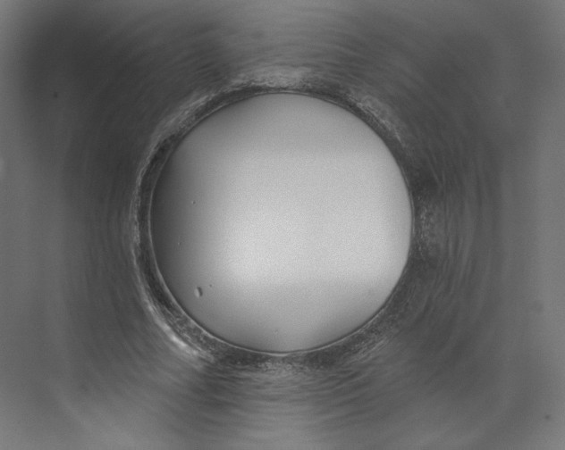 X0000073850682200609071608