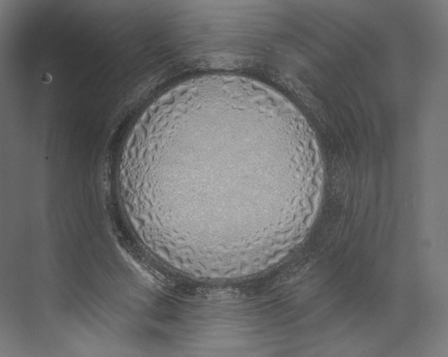 X0000073850683200609071608