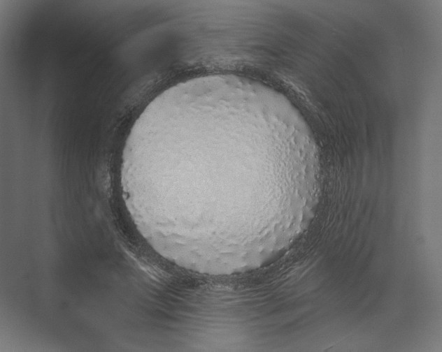 X0000073850687200609071607