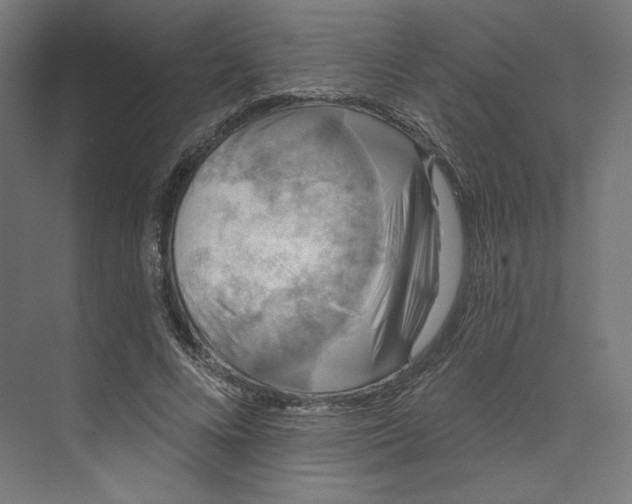 X0000073850688200609071607