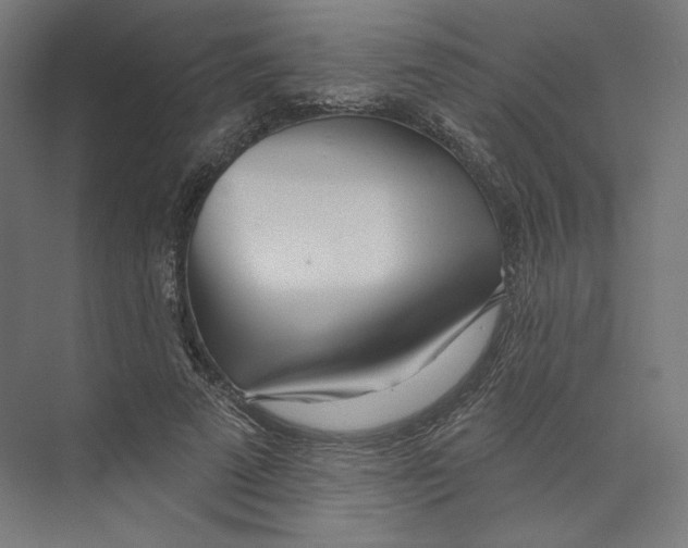 X0000073850689200609071607