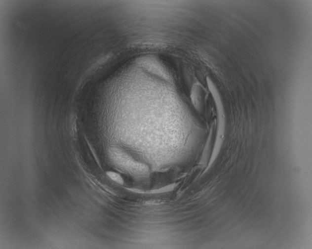 X0000073850692200609071607