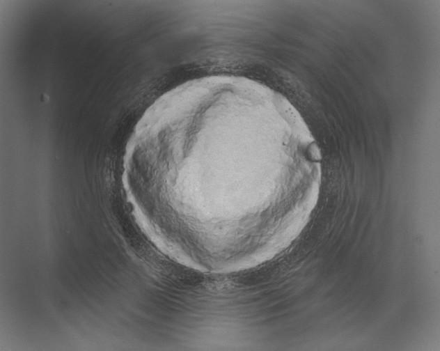 X0000073850695200609071607