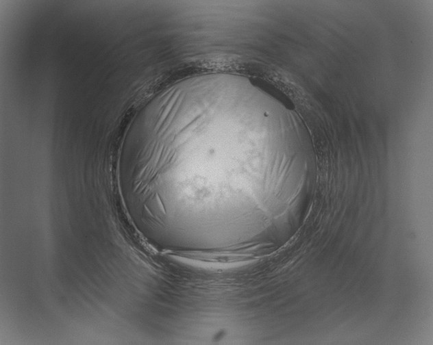 X0000073850696200609071607