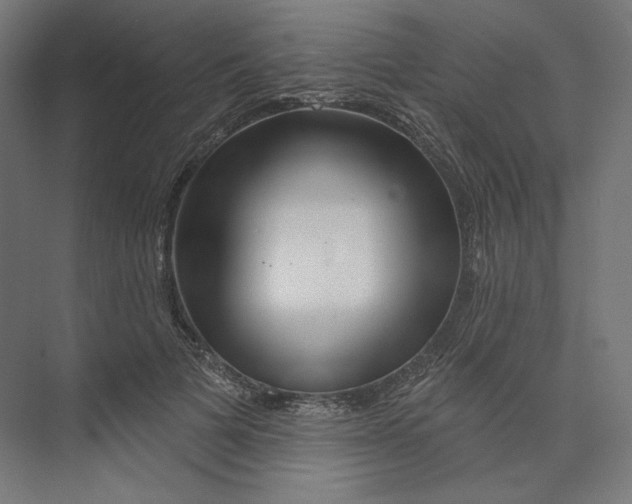 X0000073850697200609071607