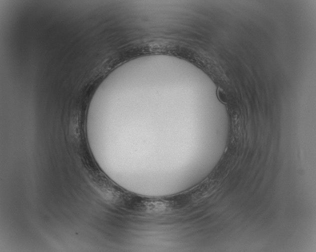 X0000073850698200609071607