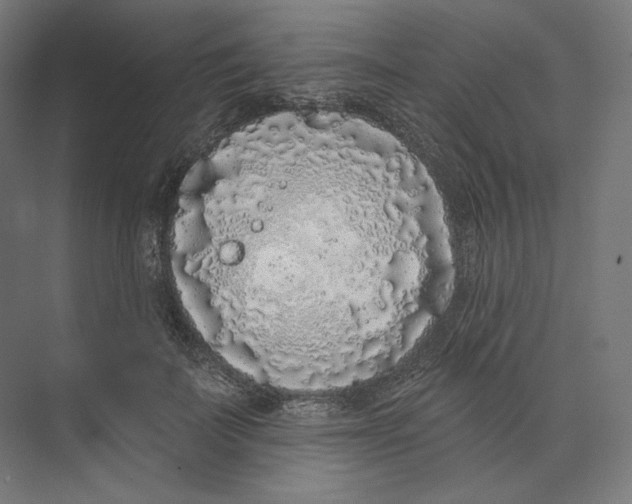 X0000073850699200609071607