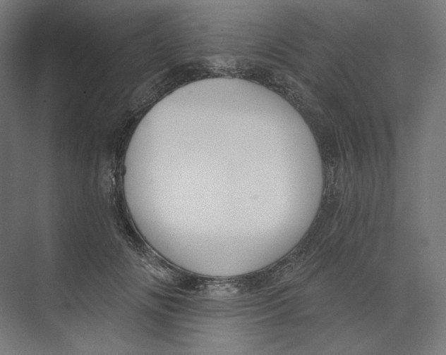 X0000073850702200609071607