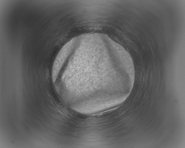 X0000073850704200609071607