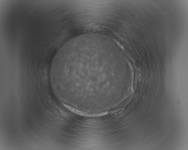 X0000073850708200609071607