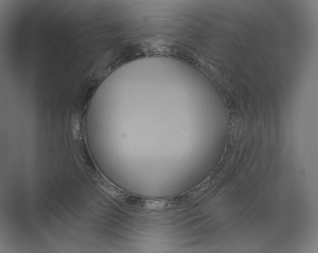 X0000073850709200609071607