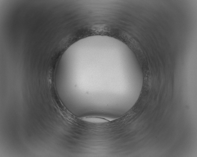 X0000073850710200609071607