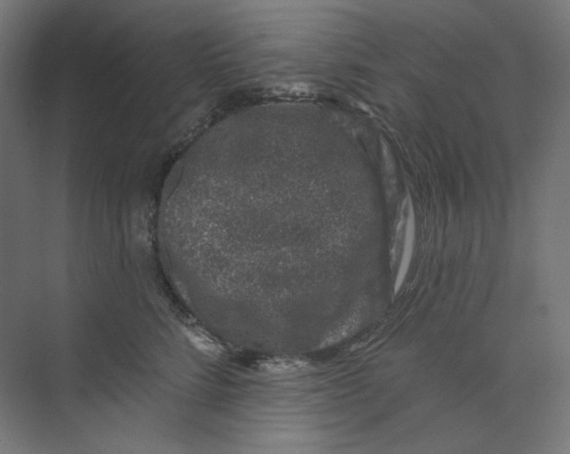 X0000073850712200609071607