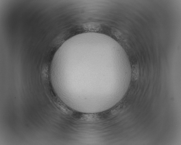 X0000073850713200609071607