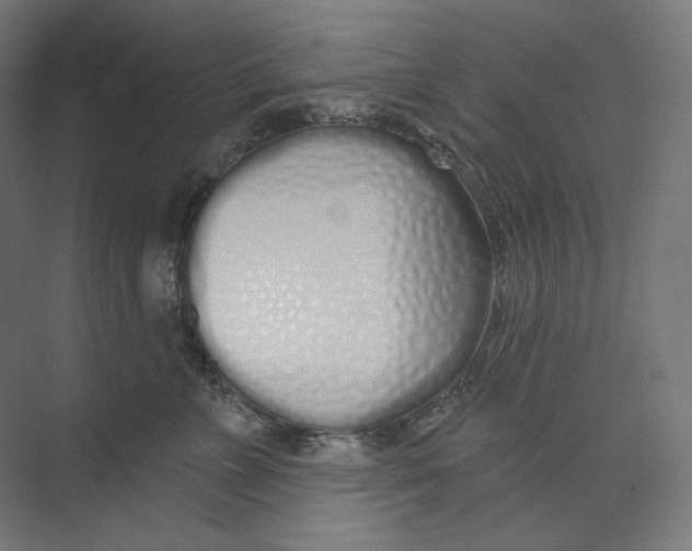 X0000073850715200609071607