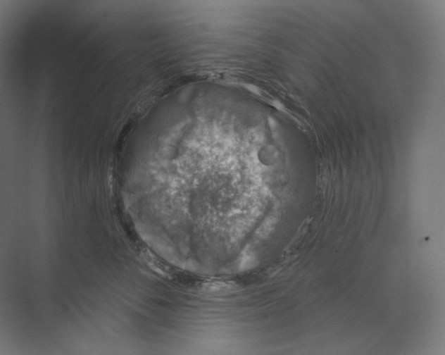 X0000073850716200609071607