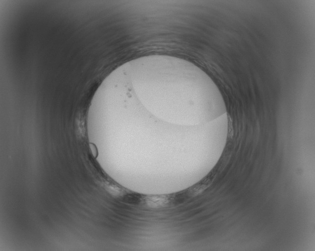 X0000073850718200609071607