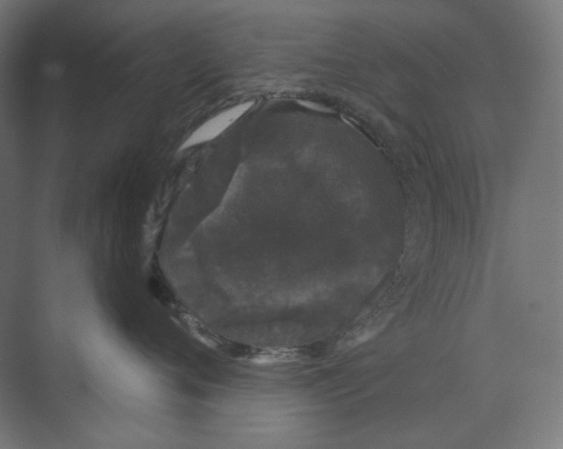 X0000073850720200609071607