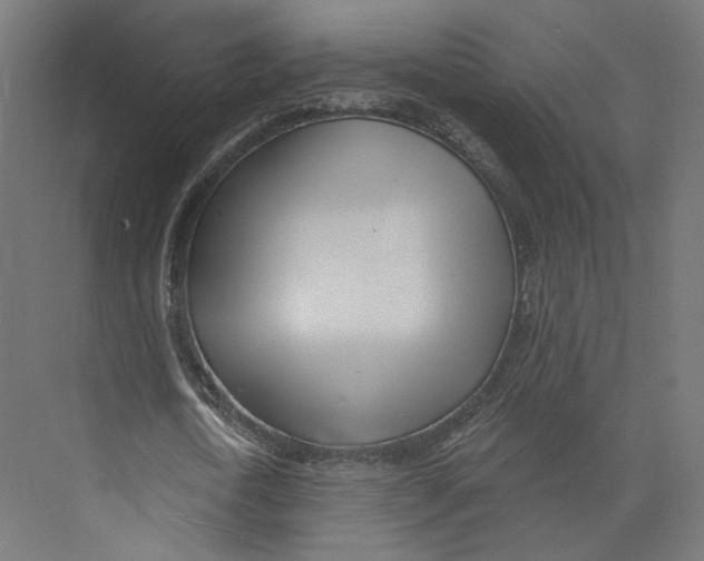 X0000073850722200609071606