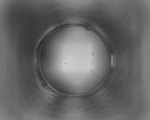 X0000073850723200609071606