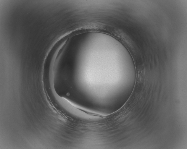 X0000073850724200609071606