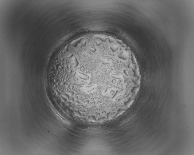 X0000073850725200609071606