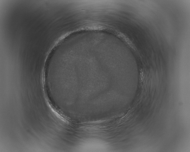 X0000073850726200609071606