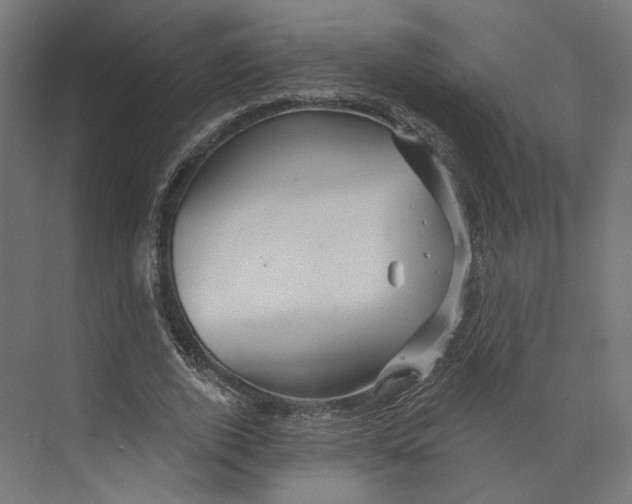 X0000073850728200609071606