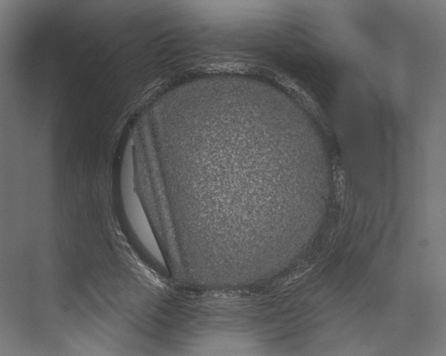 X0000073850729200609071606