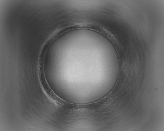 X0000073850730200609071606