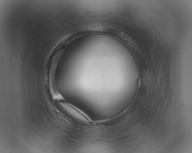 X0000073850731200609071606