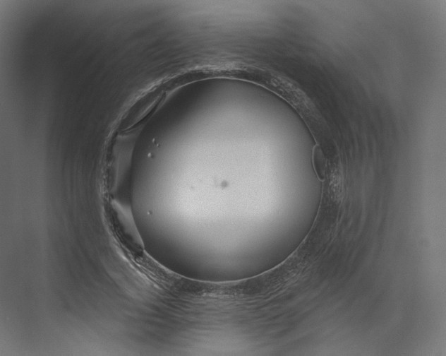 X0000073850732200609071606