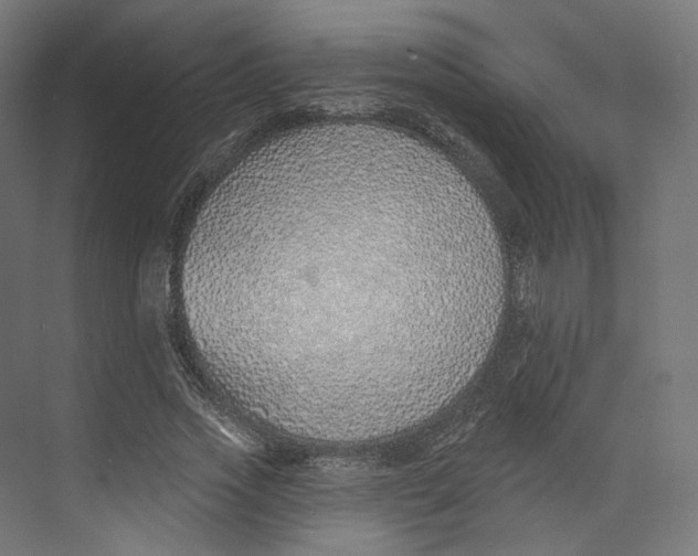 X0000073850733200609071606