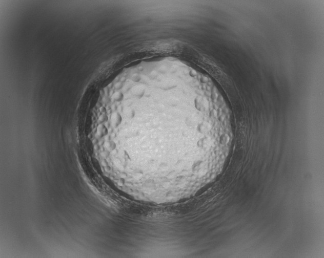 X0000073850734200609071606