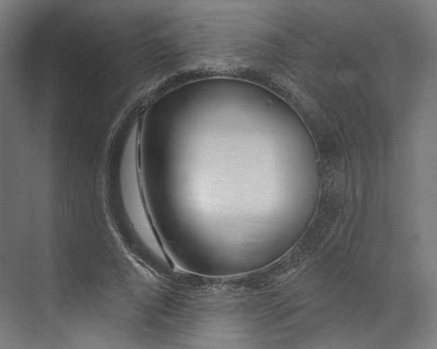 X0000073850736200609071606