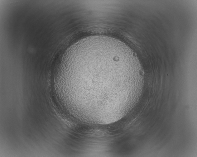 X0000073850737200609071606