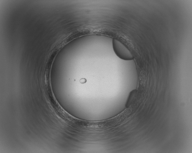 X0000073850740200609071606