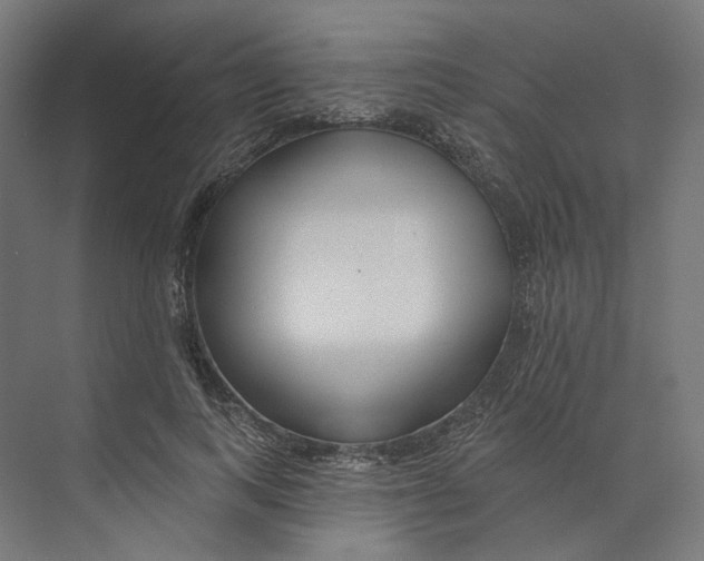 X0000073850743200609071606