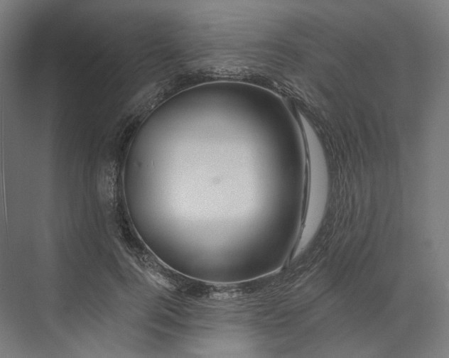 X0000073850744200609071606