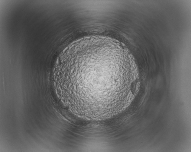 X0000073850745200609071606