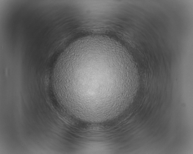 X0000073850746200609071606