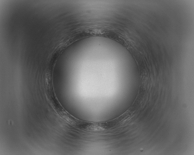 X0000073850747200609071607