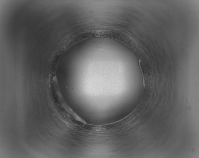 X0000073850750200609071607