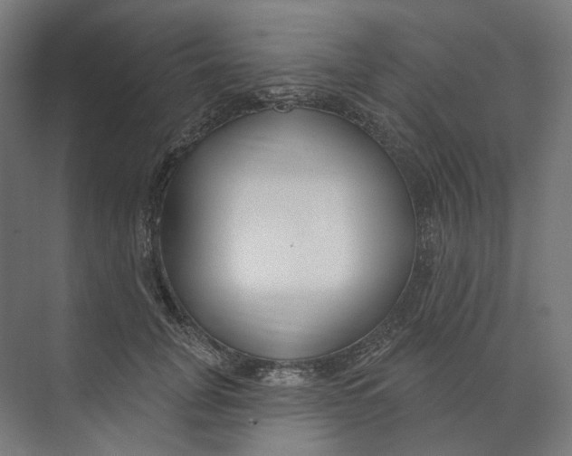 X0000073850751200609071607