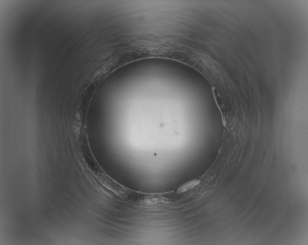 X0000073850752200609071607