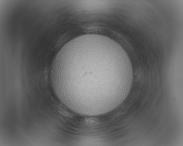 X0000073850753200609071607