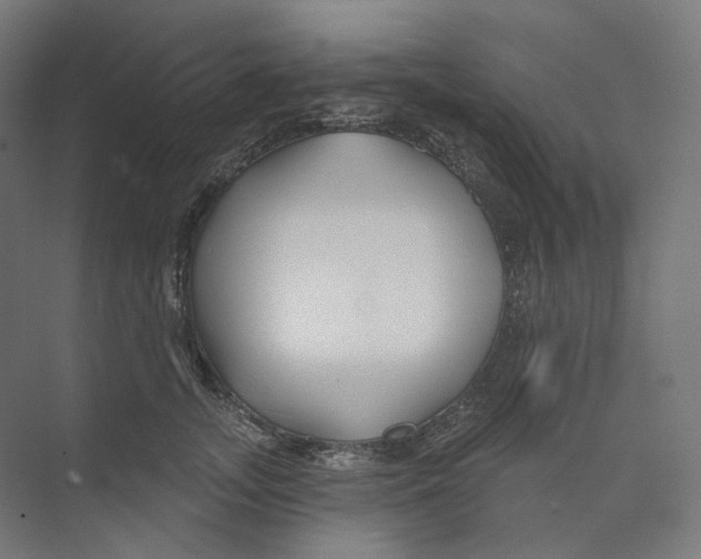 X0000073850755200609071607