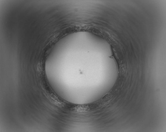 X0000073850756200609071607